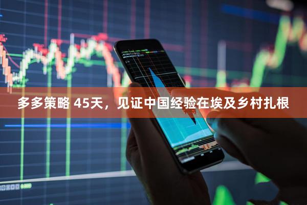 多多策略 45天，见证中国经验在埃及乡村扎根