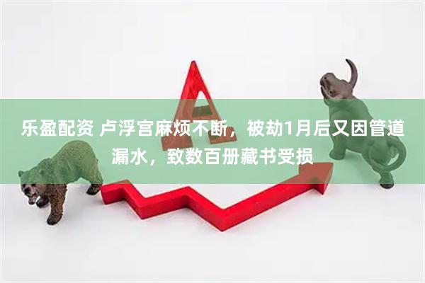 乐盈配资 卢浮宫麻烦不断，被劫1月后又因管道漏水，致数百册藏书受损