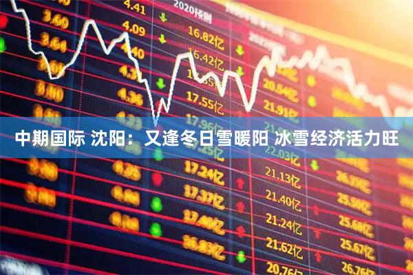 中期国际 沈阳：又逢冬日雪暖阳 冰雪经济活力旺