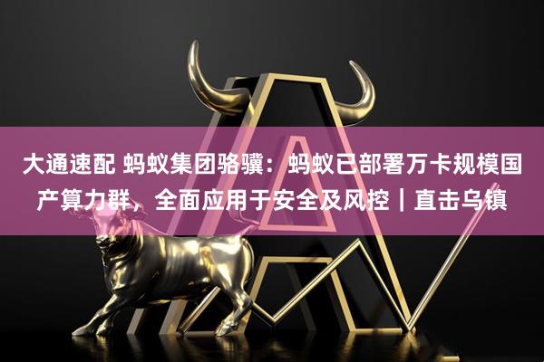 大通速配 蚂蚁集团骆骥：蚂蚁已部署万卡规模国产算力群，全面应用于安全及风控｜直击乌镇