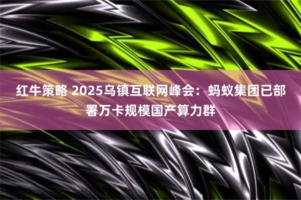 红牛策略 2025乌镇互联网峰会：蚂蚁集团已部署万卡规模国产算力群