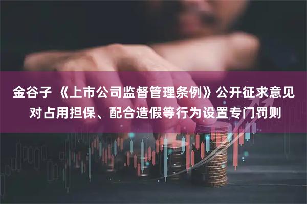 金谷子 《上市公司监督管理条例》公开征求意见 对占用担保、配合造假等行为设置专门罚则