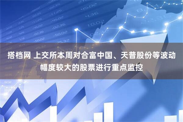搭档网 上交所本周对合富中国、天普股份等波动幅度较大的股票进行重点监控