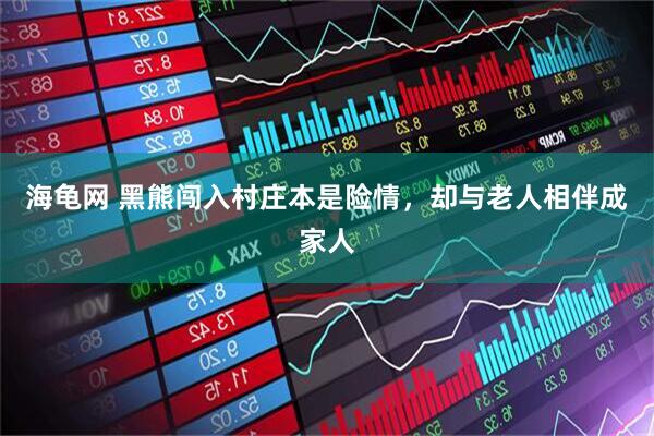 海龟网 黑熊闯入村庄本是险情，却与老人相伴成家人