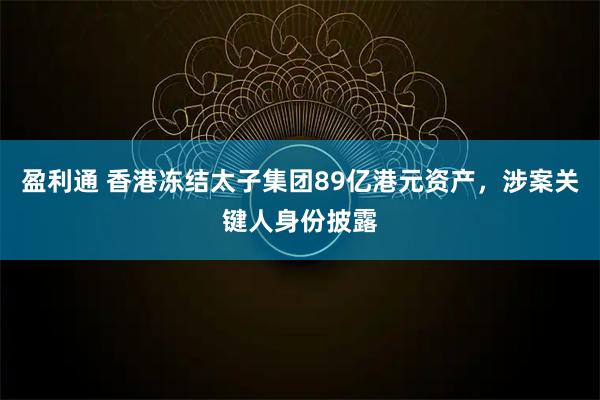 盈利通 香港冻结太子集团89亿港元资产，涉案关键人身份披露